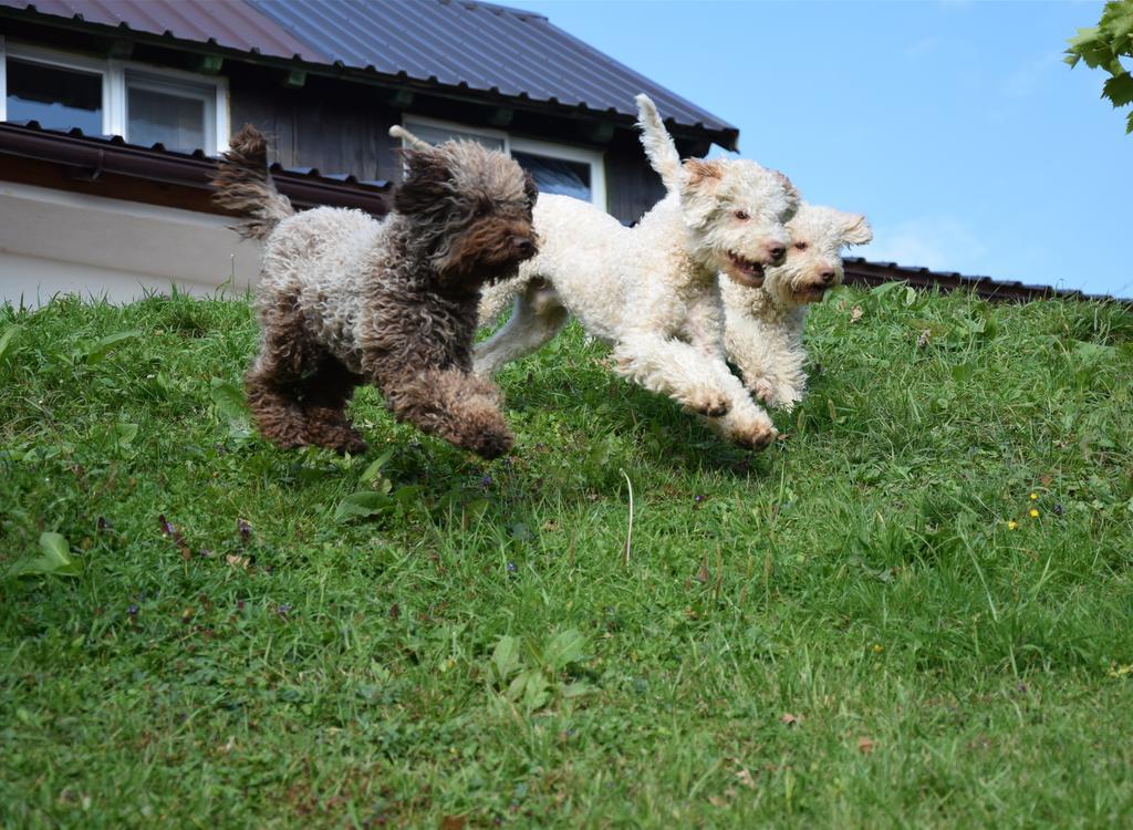 Guest House Lagotto'S Peak Radatovici Eksteriør billede